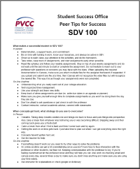 SDV 100 Peer