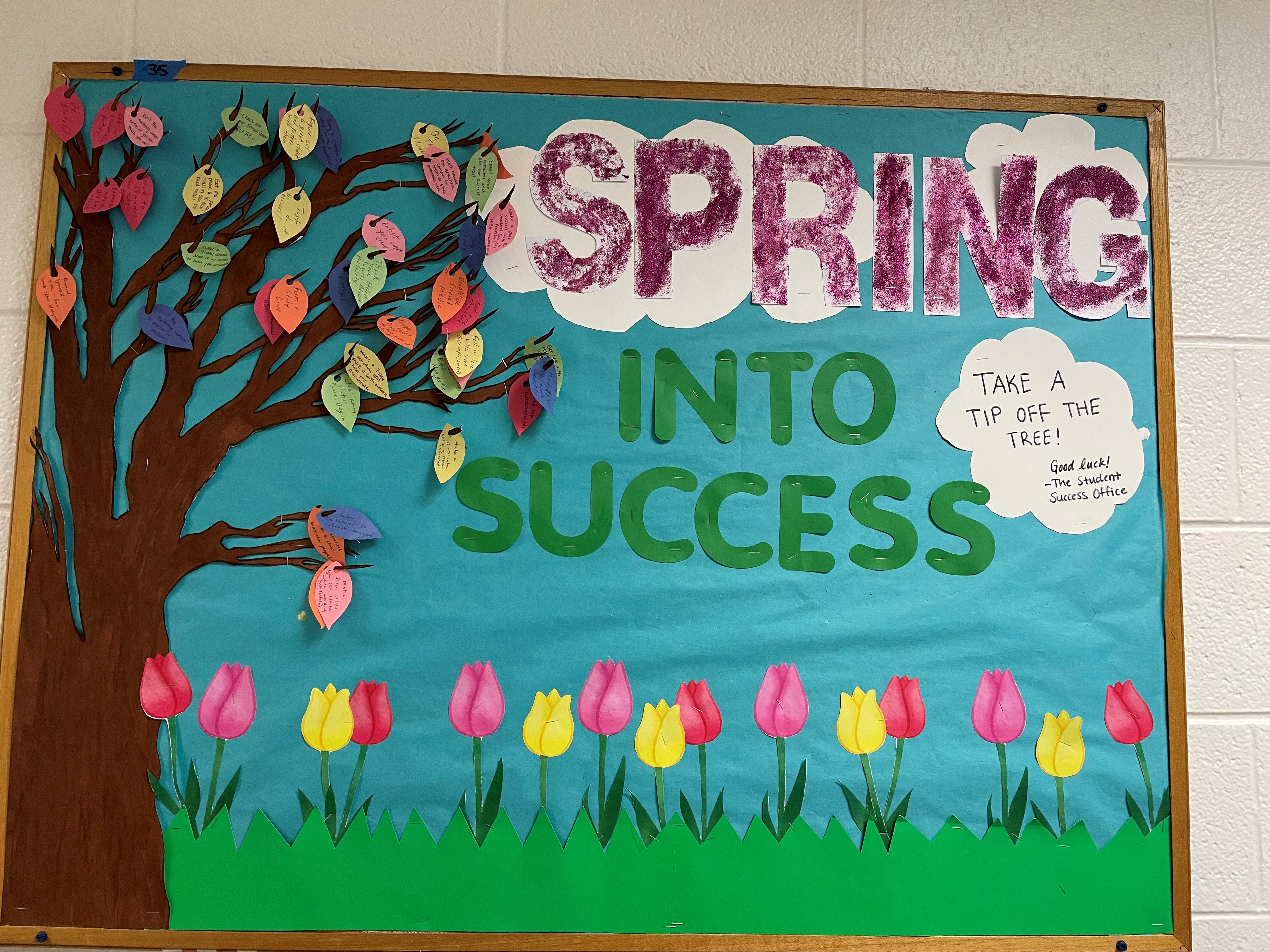 Spring into Success Bulletin Board